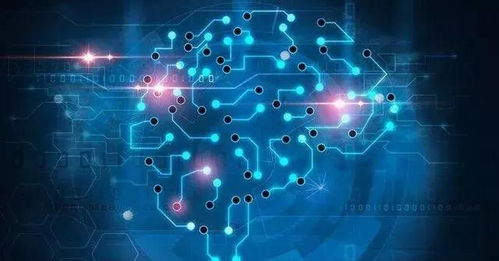 数据驱动未来 AI赋能下的智能物流与仓库管理系统开发