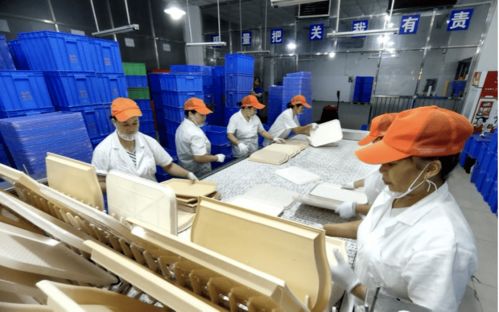 深圳餐具消毒服务机构 引领技术革新，助推循环经济发展